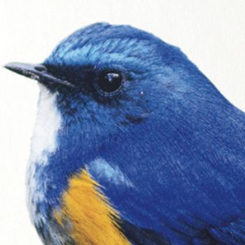 Papel Reciclado 100 gr