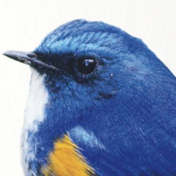 Papel Reciclado 160 gr