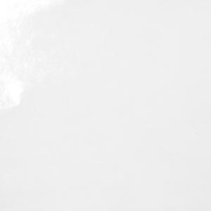 Alto Brillo Resistente Humedad