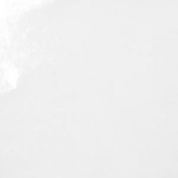 Alto Brillo Resistente Humedad