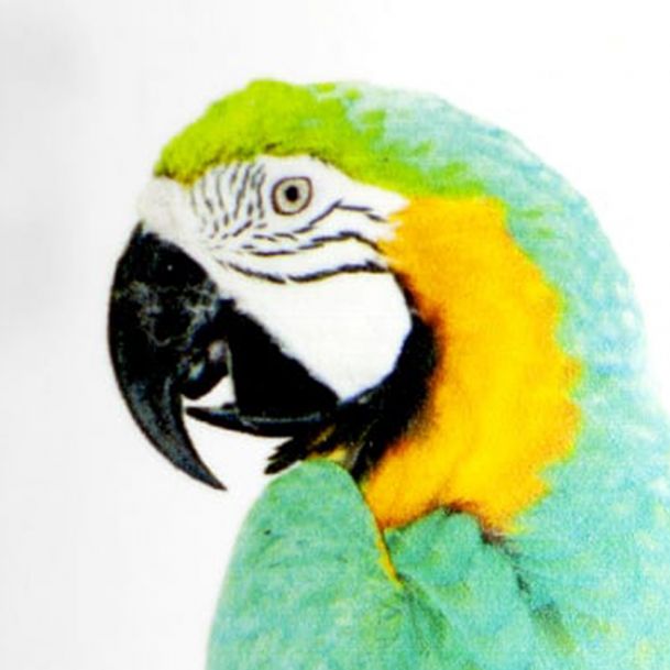 vinilo_monomerico_transparente_brillo_cuadrado