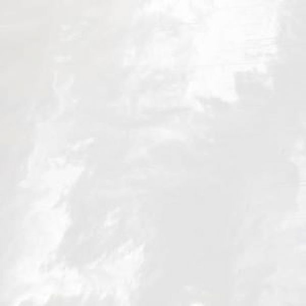 Polipropileno Blanco