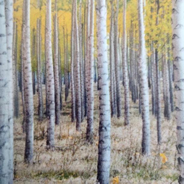 VINILO POLIMERICO BLANCO BRILLO