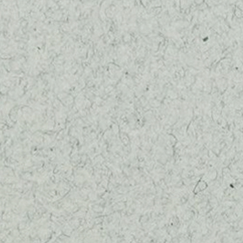 Tintoretto Ceylon Cumino 250 gr