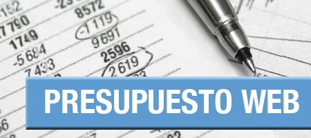 PRESUPUESTO WEB