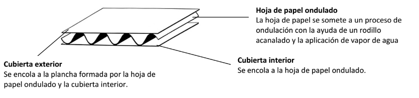 CARTON CORRUGADO