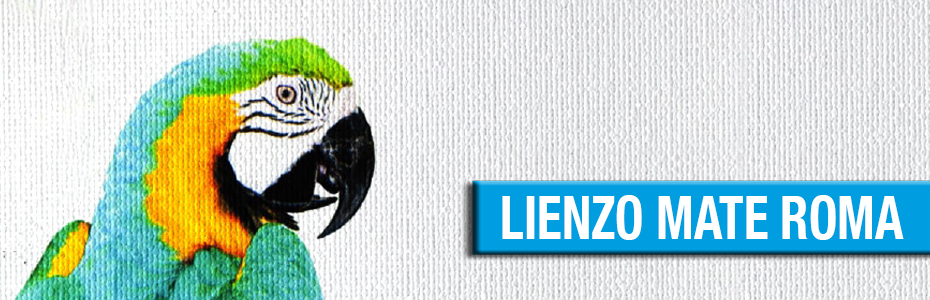 lienzo_mate_roma