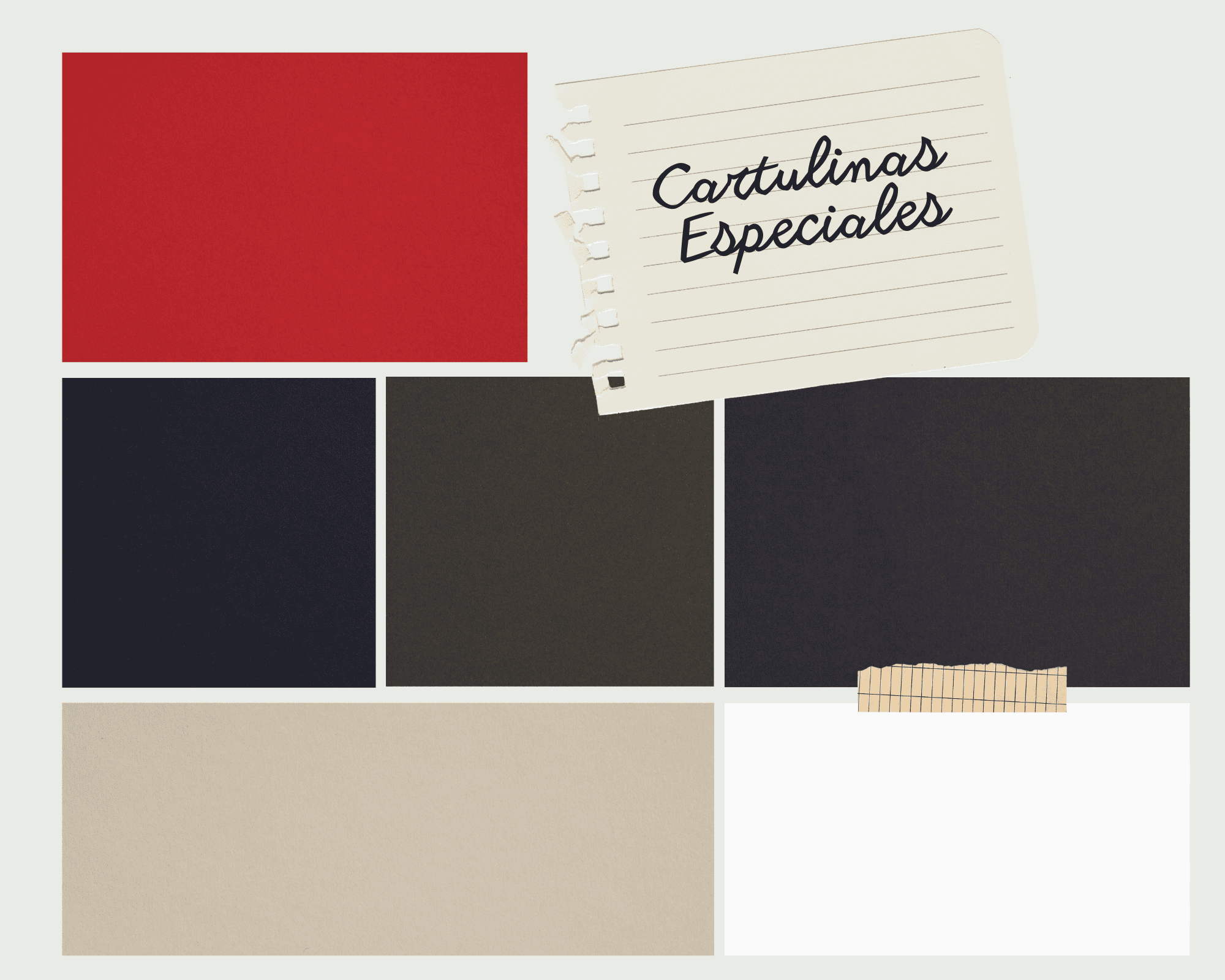 CARTULINAS ESPECIALES