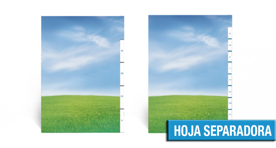 Hojas separadoras
