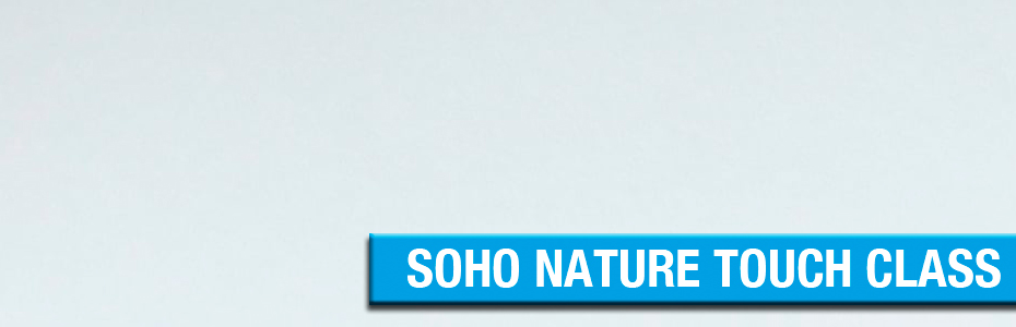 SOHO NATURE TOUCH CLASS