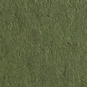 Tintoretto Ceylon Wasabi 350 gr