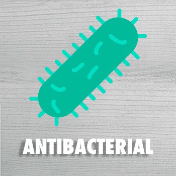 PRODUCTOS ANTIBACTERIAL