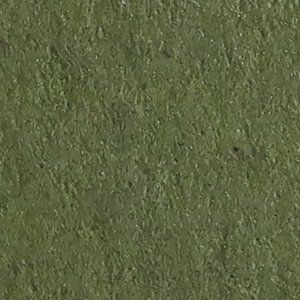 Tintoretto Ceylon Wasabi 350 gr