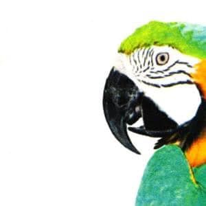 VINILO NANOVENTOSAS BLANCO