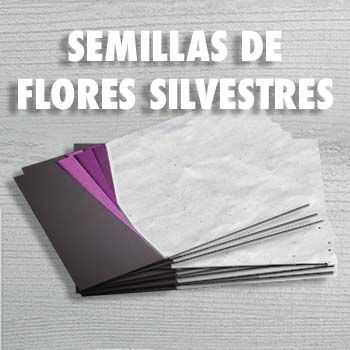 Papel semillas de Flores