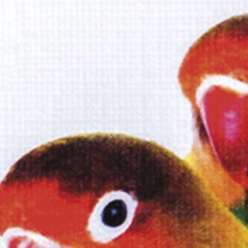 Constellation Snow Tela 280 gr