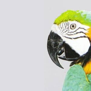 VINILO NANOVENTOSAS TRANSPARENTE 