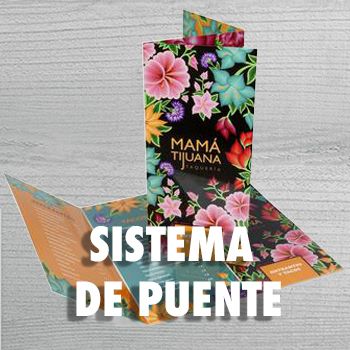CARTA SISTEMA DE PUENTE