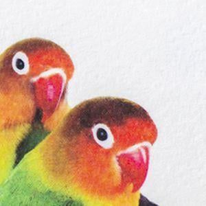 Marcate Tintoretto Gesso 250 gr