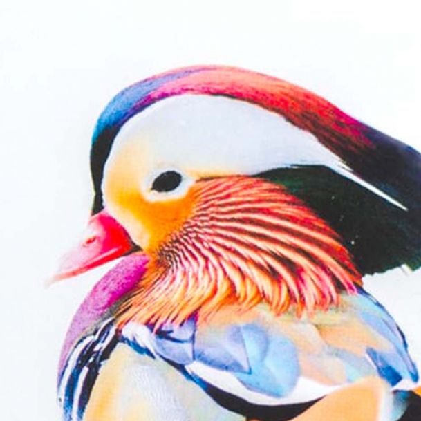 Papel Estucado Brillo 150 gr