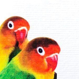 Bianco &Aacute;rtico 280 gr