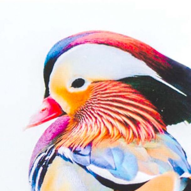 Papel Estucado Mate 100 gr