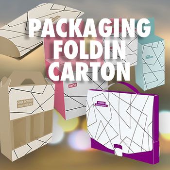 Foldin Cart&oacute;n