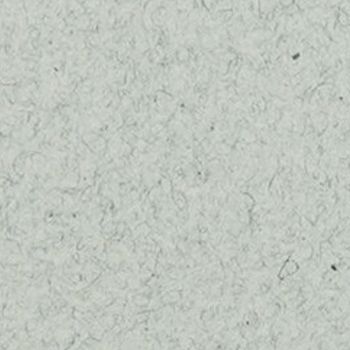 Tintoretto Ceylon Cumino 250 gr