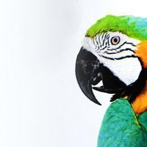 VINILO MONOM&Eacute;RICO BLANCO MATE (REMOVIBLE)