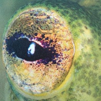 polietileno transparente 3mm