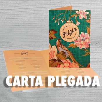 CARTA PLEGADA